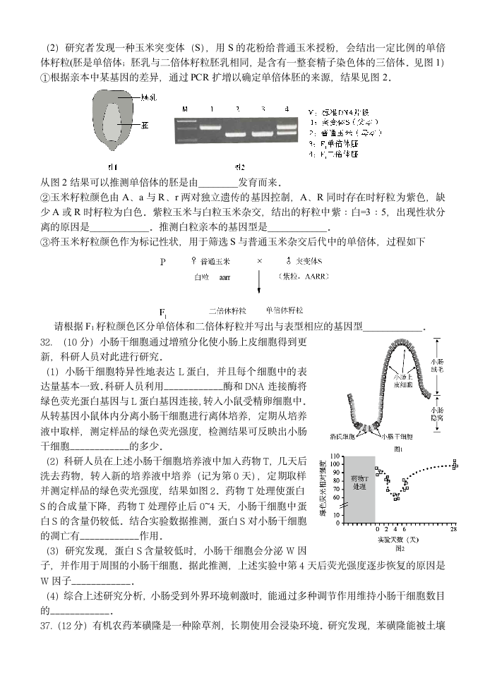 理综生物试题(含答案)第3页