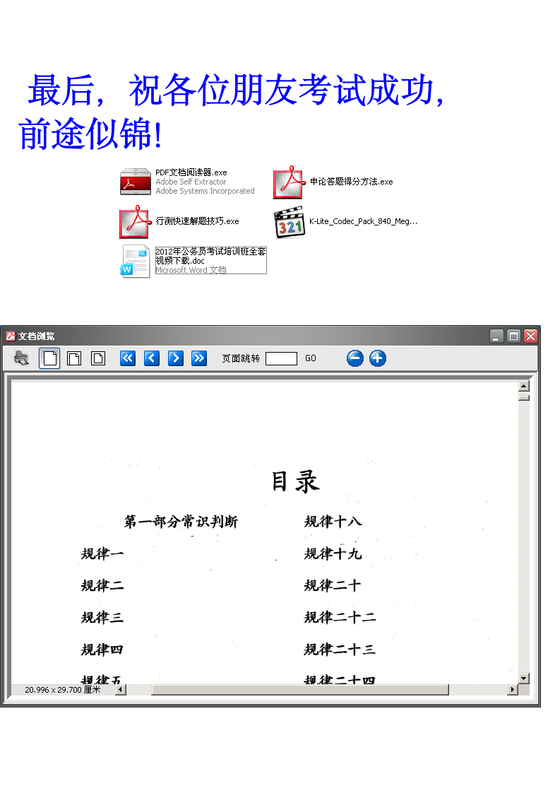 申论真题及答案解析第10页