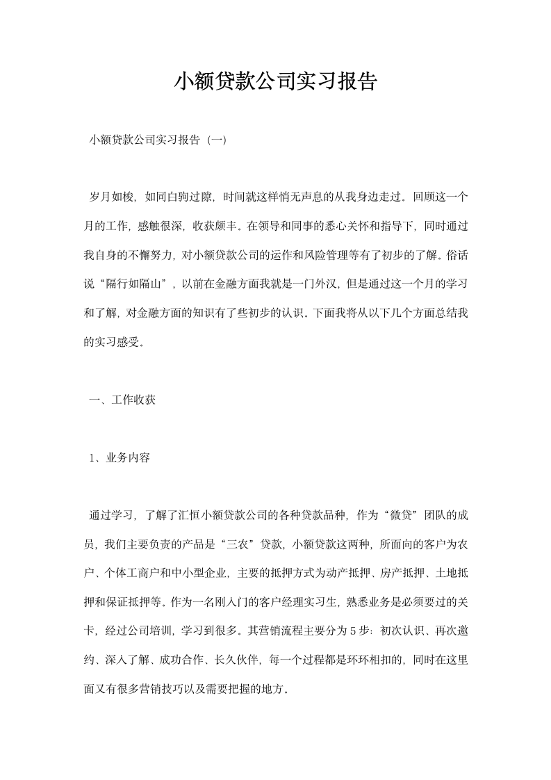 小额贷款公司实习报告.docx第1页