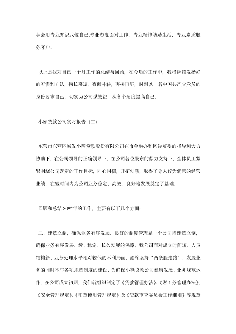 小额贷款公司实习报告.docx第5页