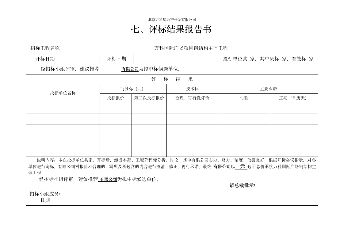 工程评标报告.doc第10页