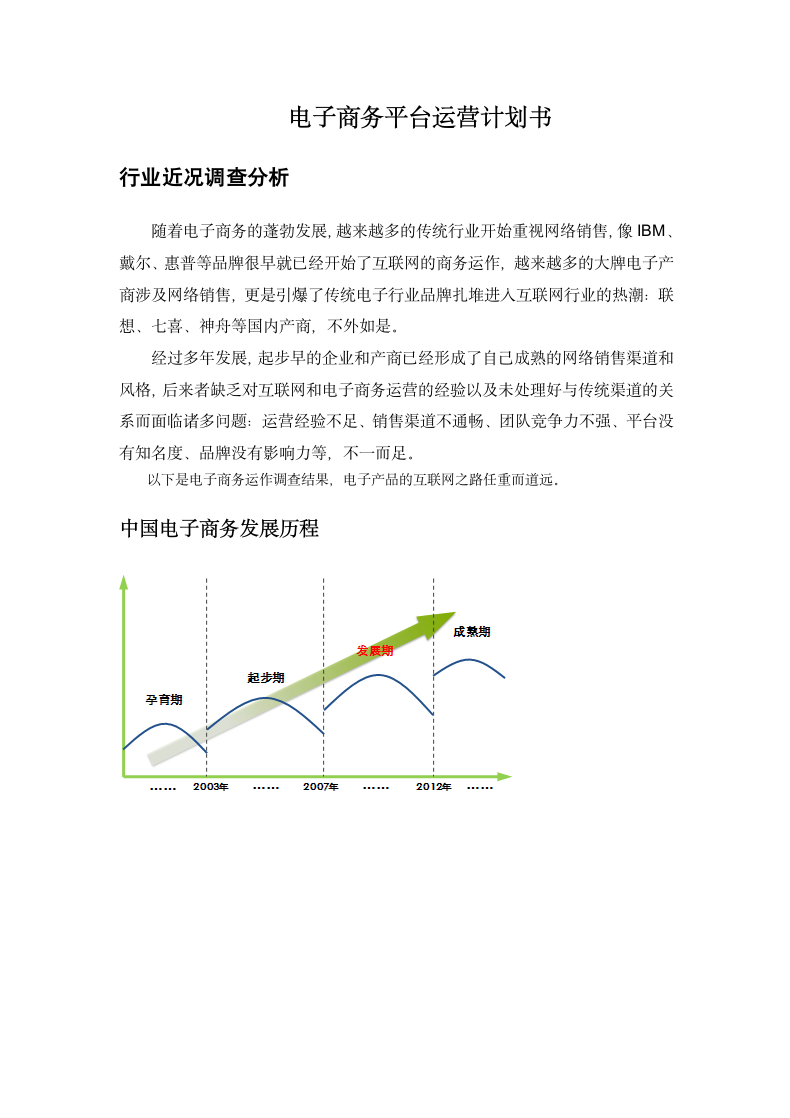 电子商务平台运营计划书.docx第2页