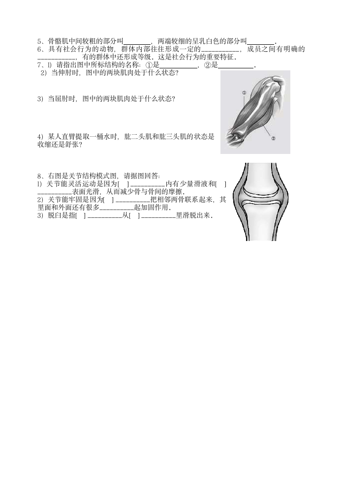 初一生物上学期期末试卷.doc第2页