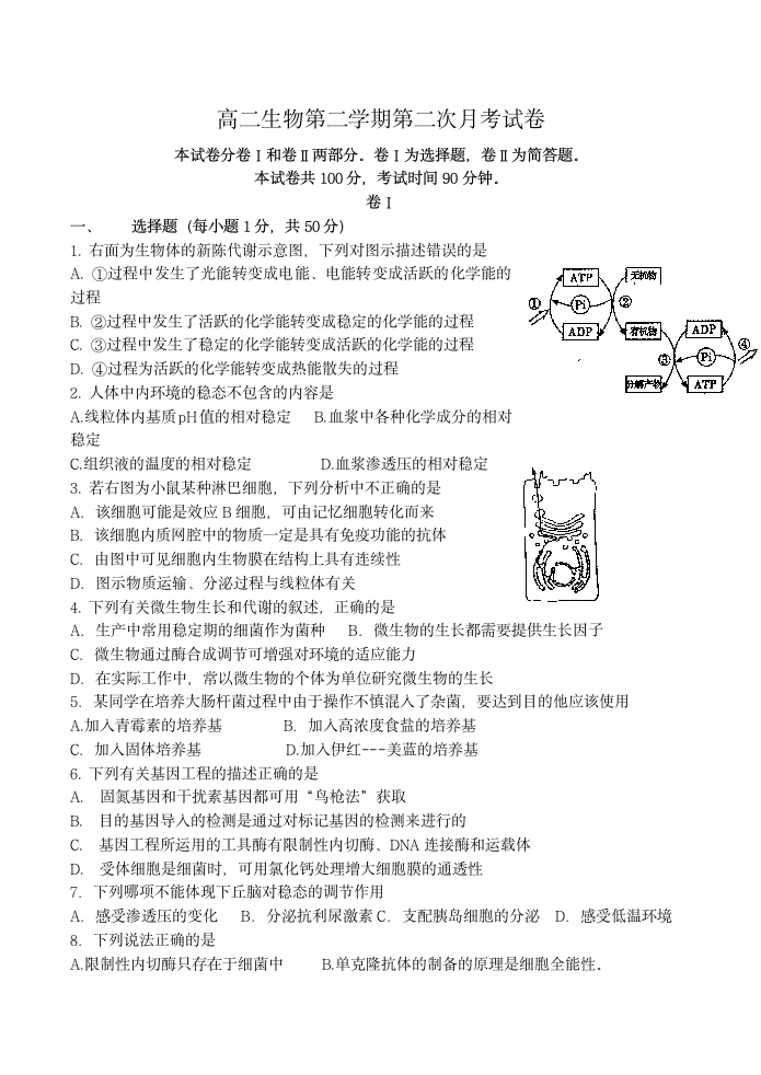 高二生物第二学期第二次月考试卷.doc第1页