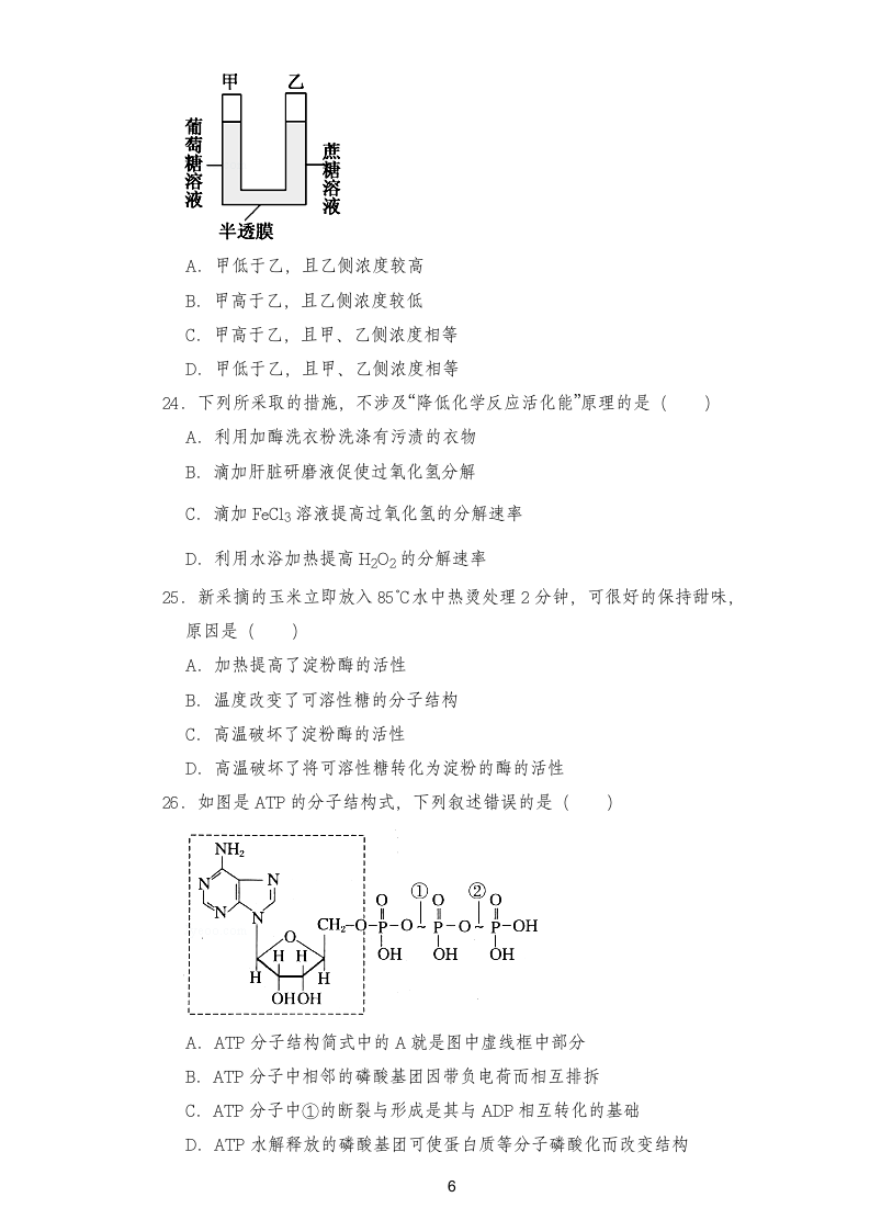 高二生物学科考试卷.docx第6页