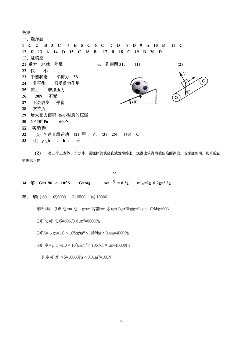 八年级物理下册期中考试试卷.docx第5页