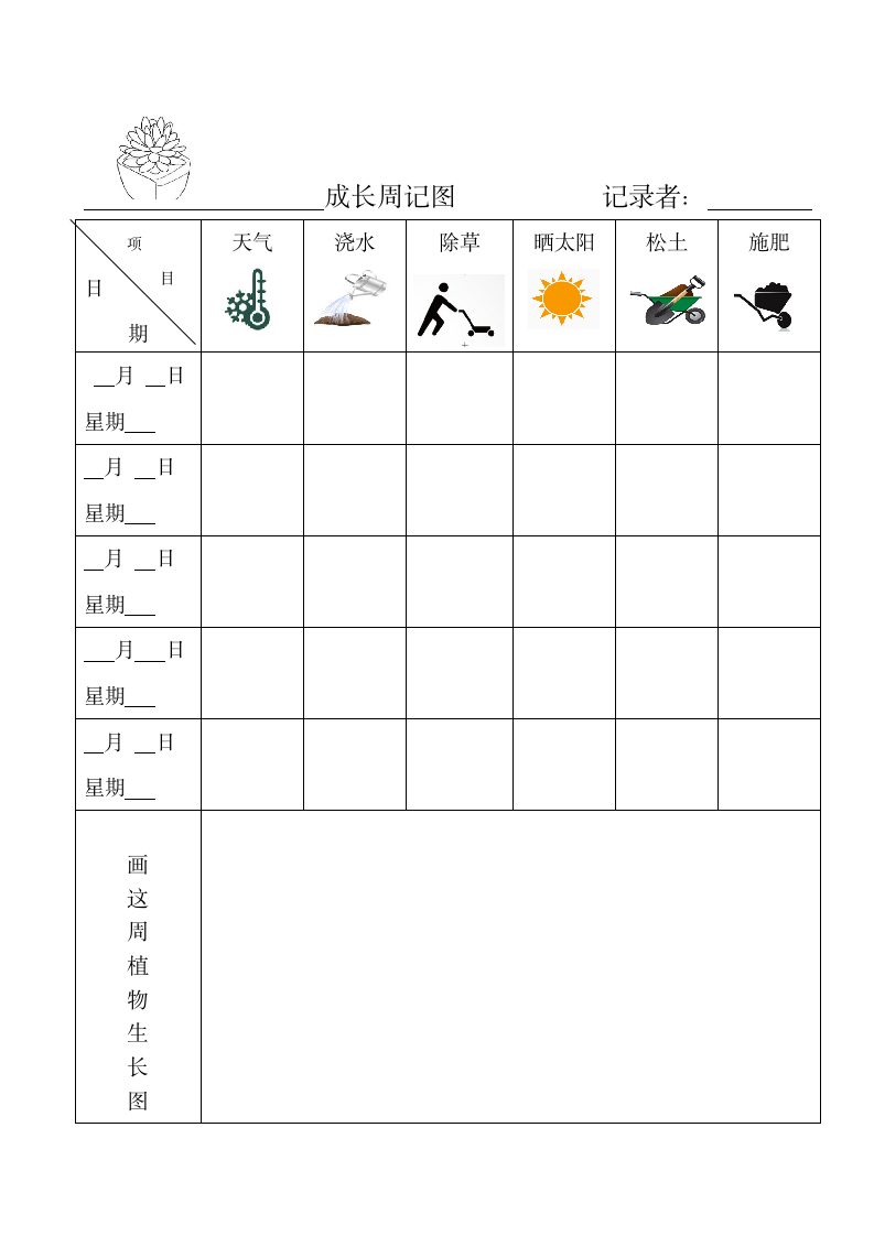 幼儿园植物生长观察记录表.doc第2页