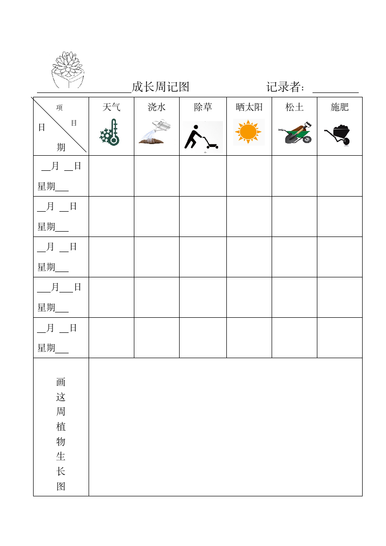 幼儿园植物生长观察记录表.doc第3页