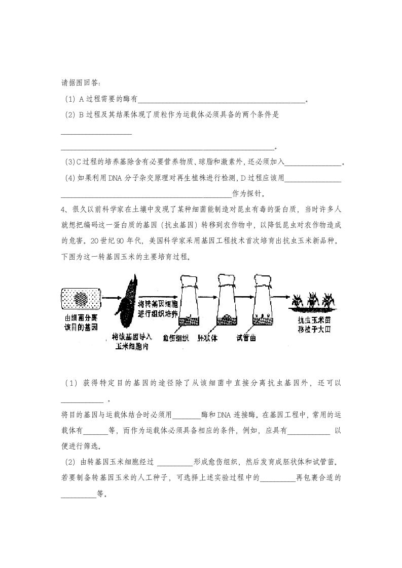 高中生物测试卷.docx第2页