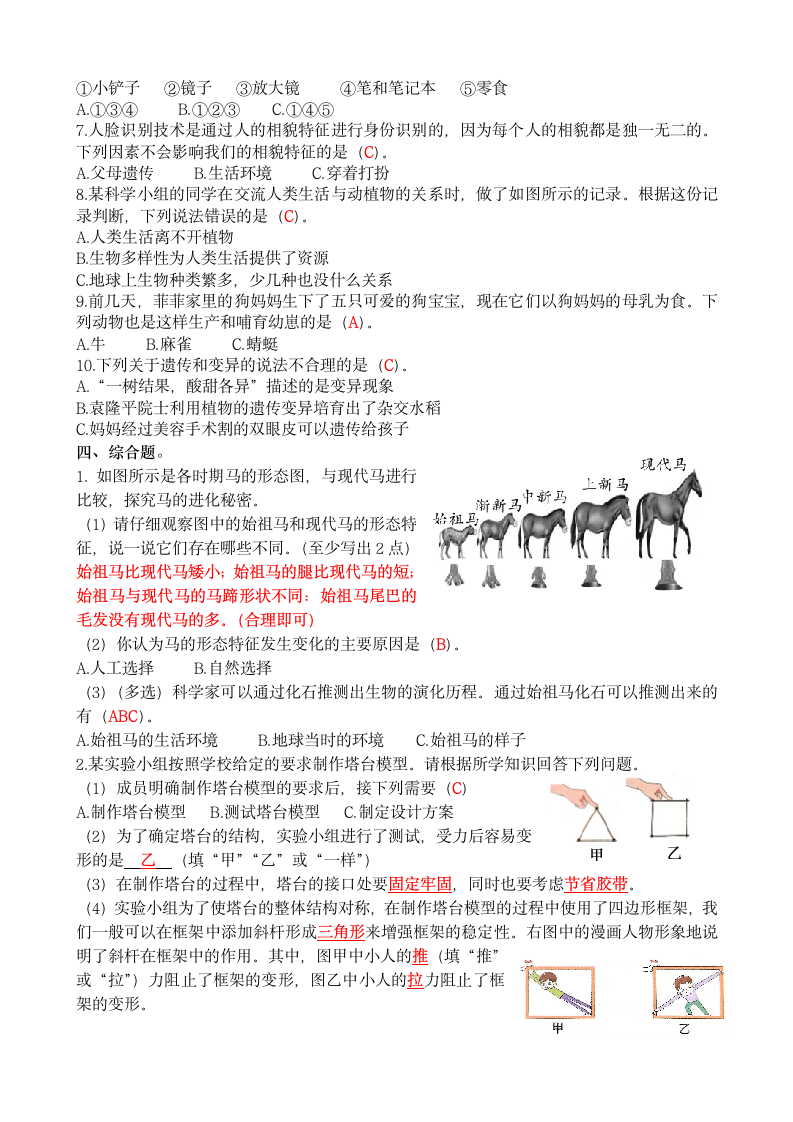 新教科版（2017秋）六年级科学期中达标测试卷（含答案）.doc第4页