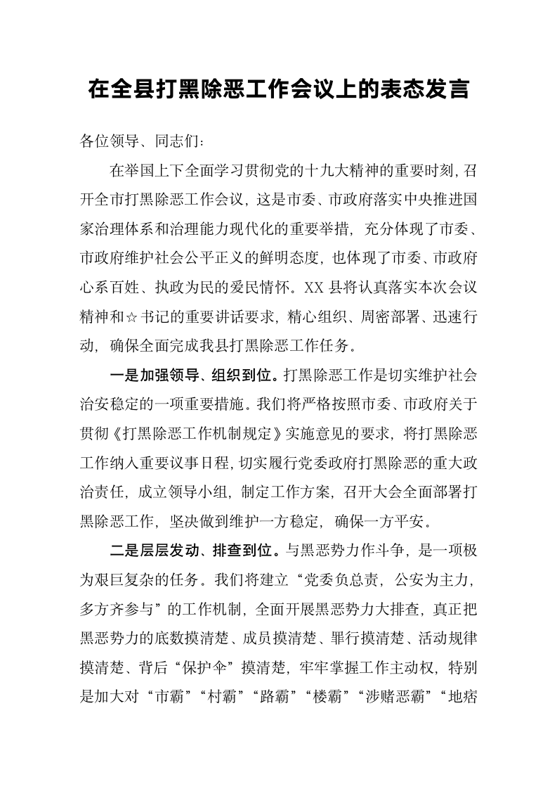 在打黑除恶工作会议上的表态发言.docx第2页