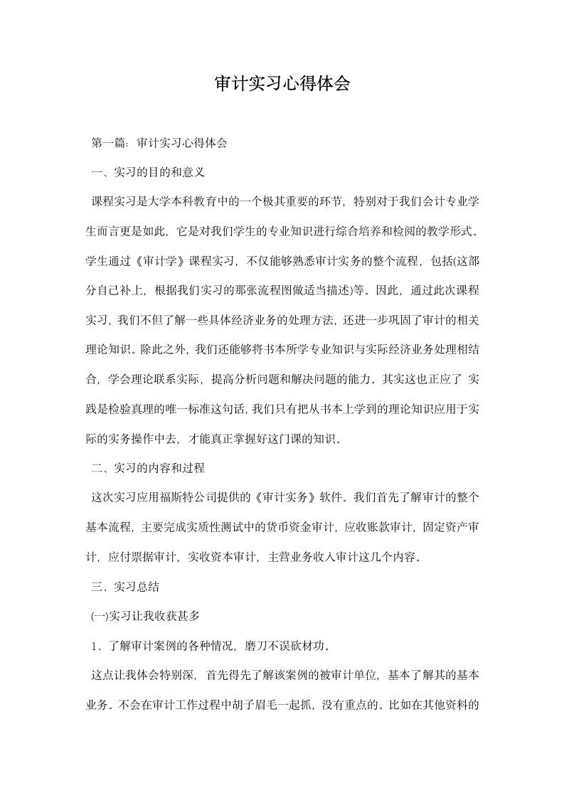 审计实习心得体会.docx