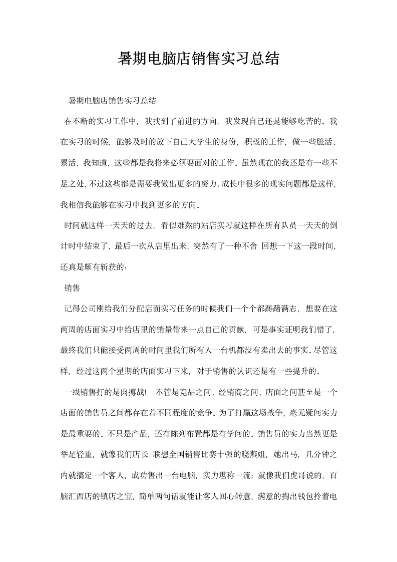 暑期电脑店销售实习总结.docx