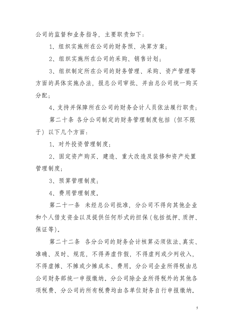 分公司管理制度.doc第5页