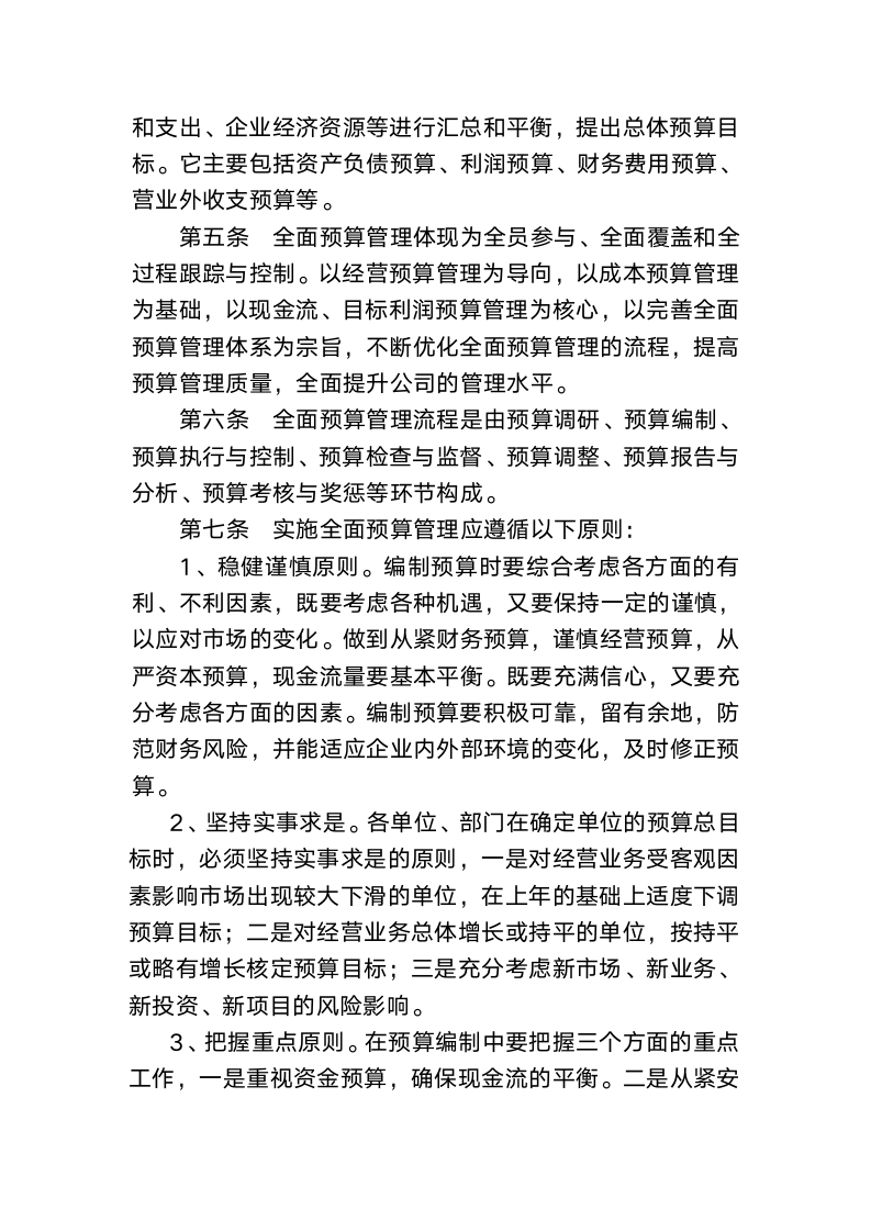 公司全面预算管理办法.docx第2页