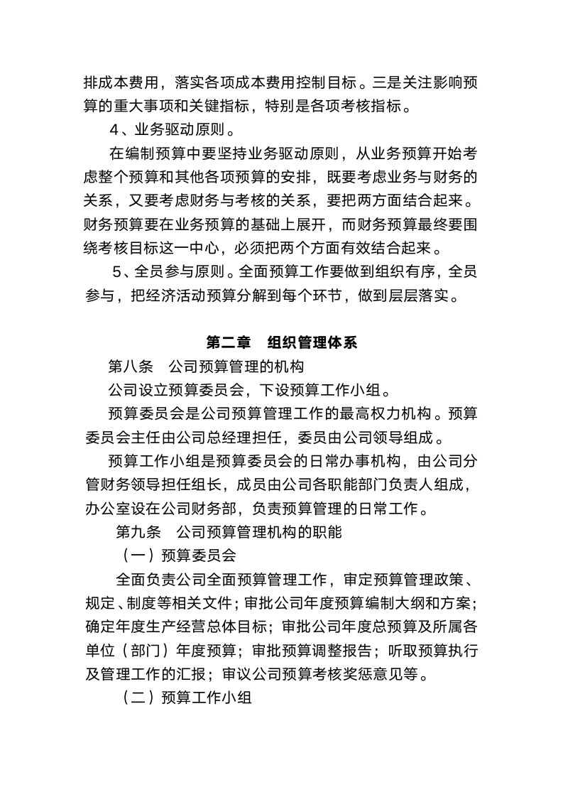 公司全面预算管理办法.docx第3页
