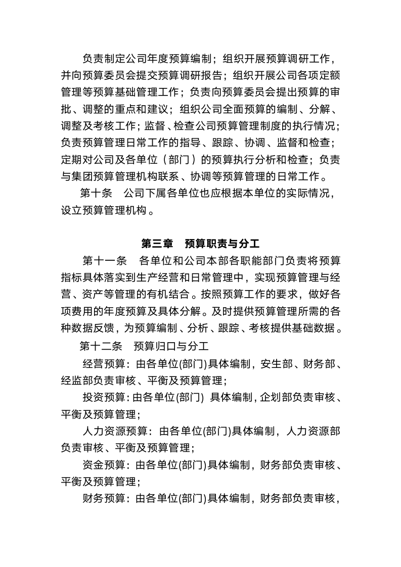 公司全面预算管理办法.docx第4页