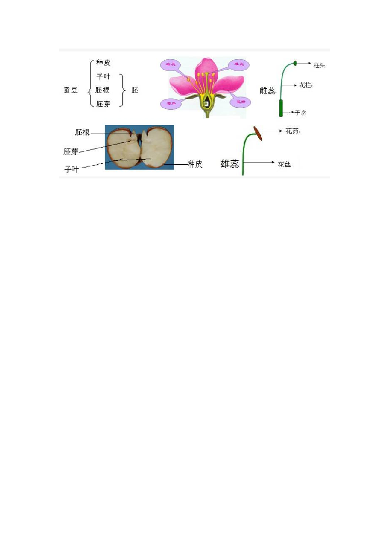 教科版四年级科学下册知识点.doc第13页