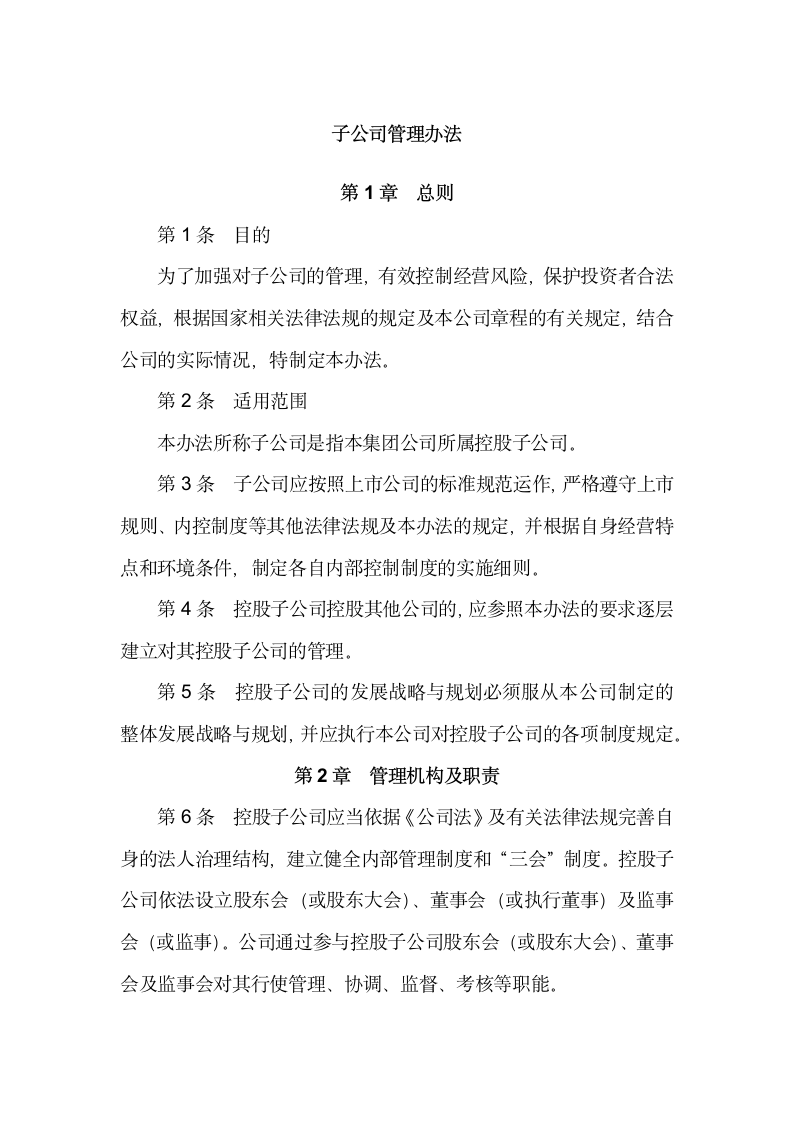 某集团子公司管理办法.docx