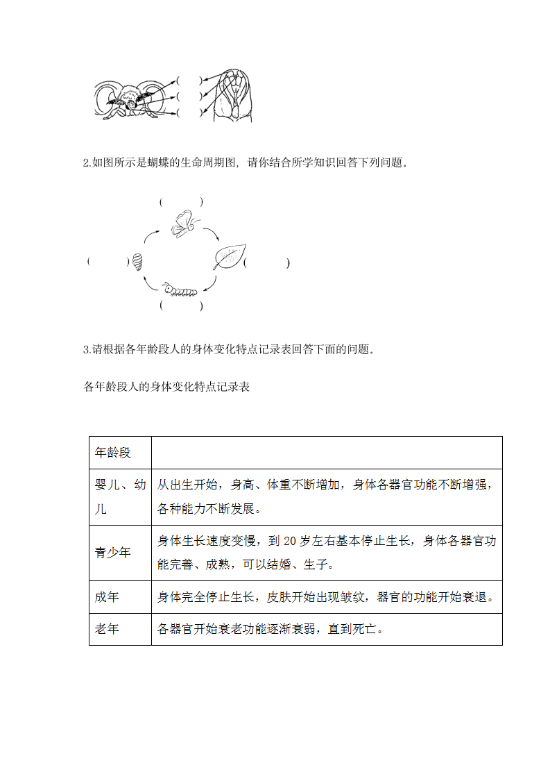 教科版（2017秋） 三年级下册第二单元动物的一生单元测试卷（含答案).doc第3页