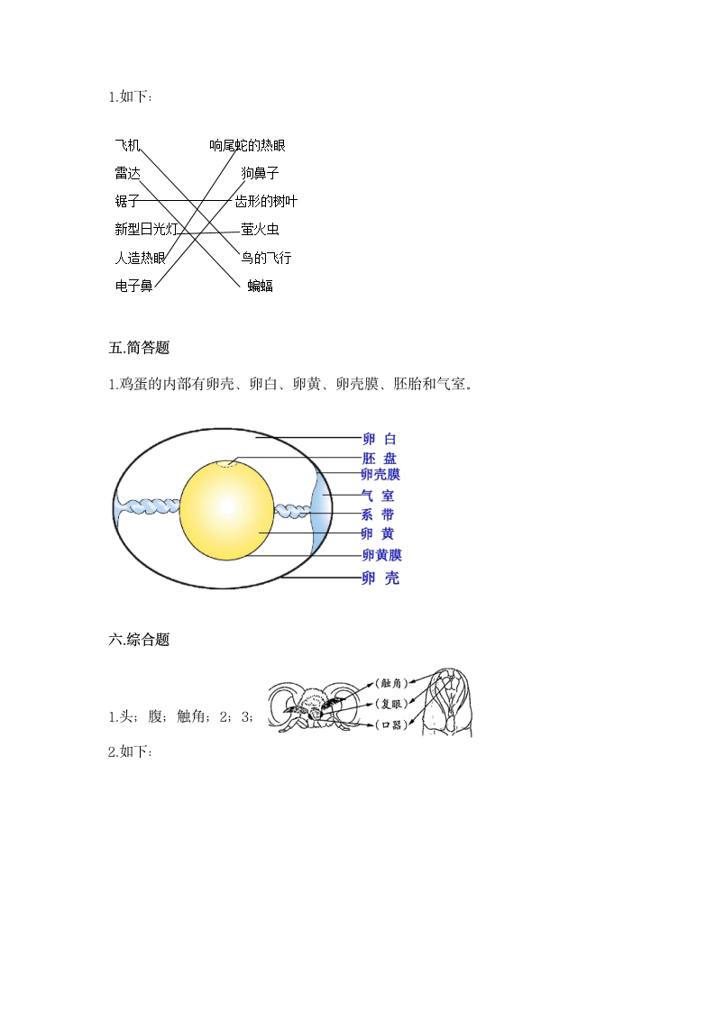 教科版（2017秋） 三年级下册第二单元动物的一生单元测试卷（含答案).doc第5页