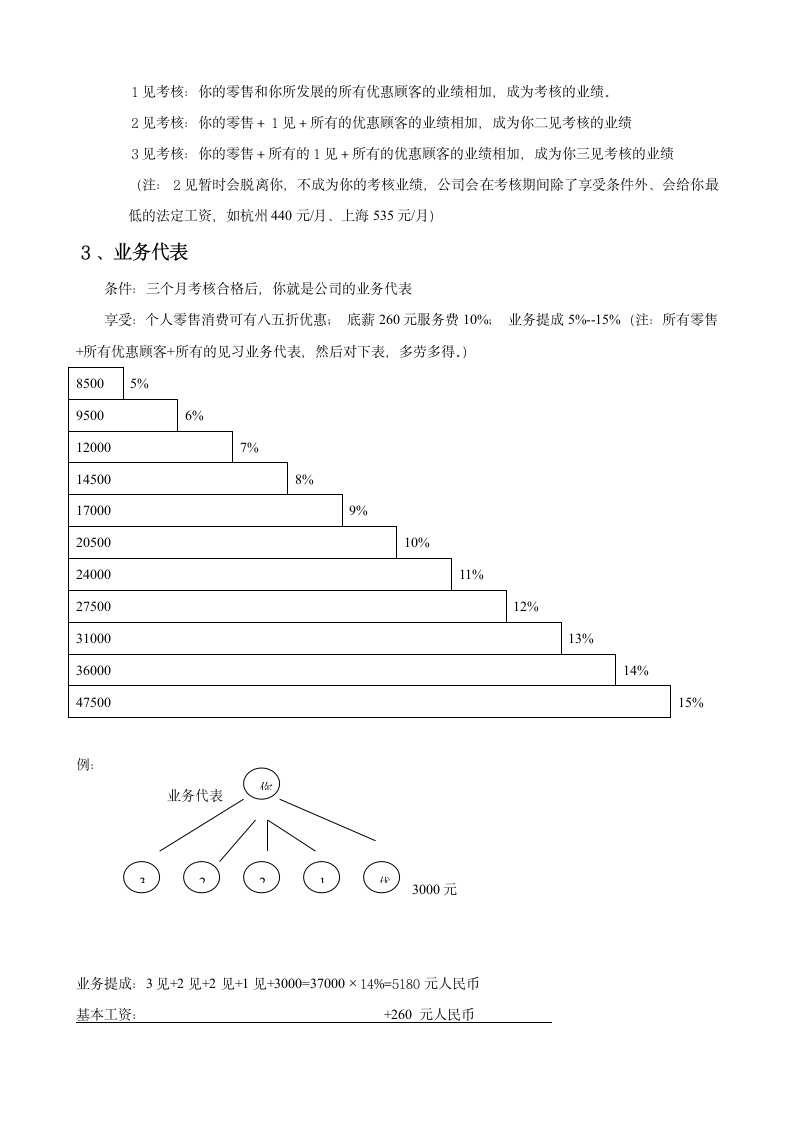 如新事业可行性报告.doc第5页