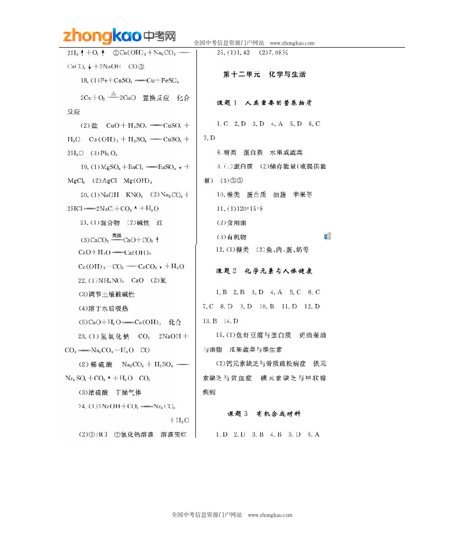 人教版初三化学下册练习册答案第6页