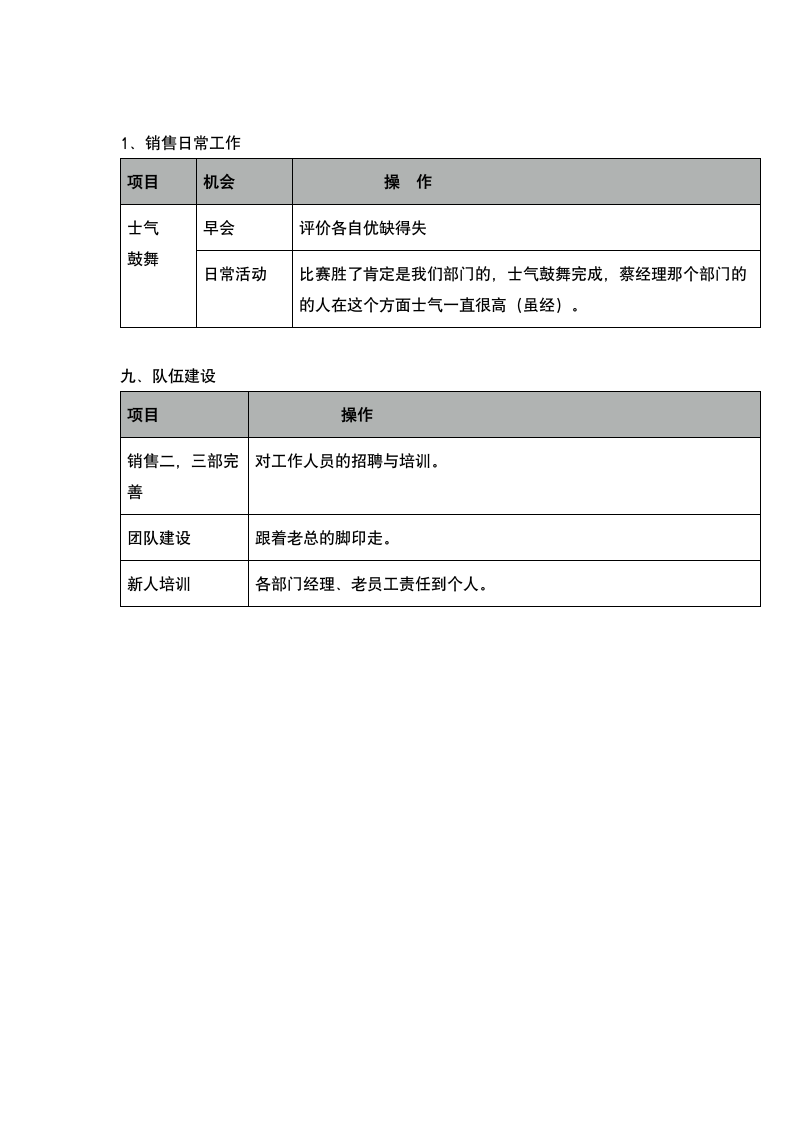 市场营销部部门经理工作计划.docx第6页