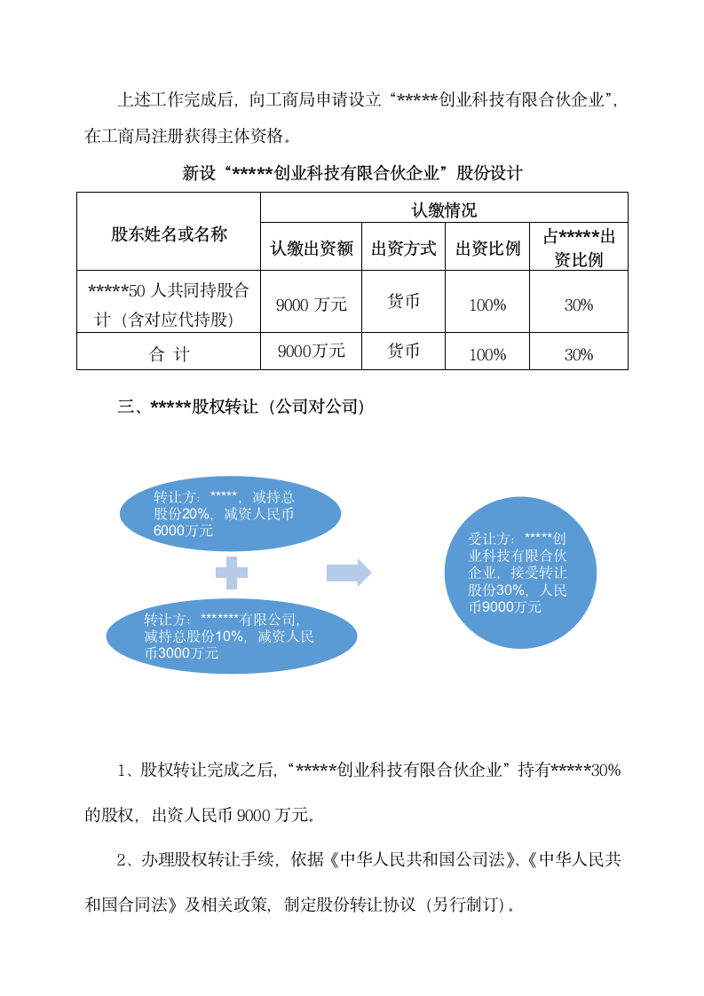 2019年股权设计策划案通用模板.doc第6页