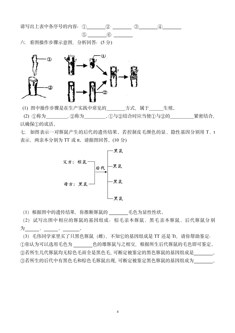 八年级生物下册期中测试卷.docx第4页