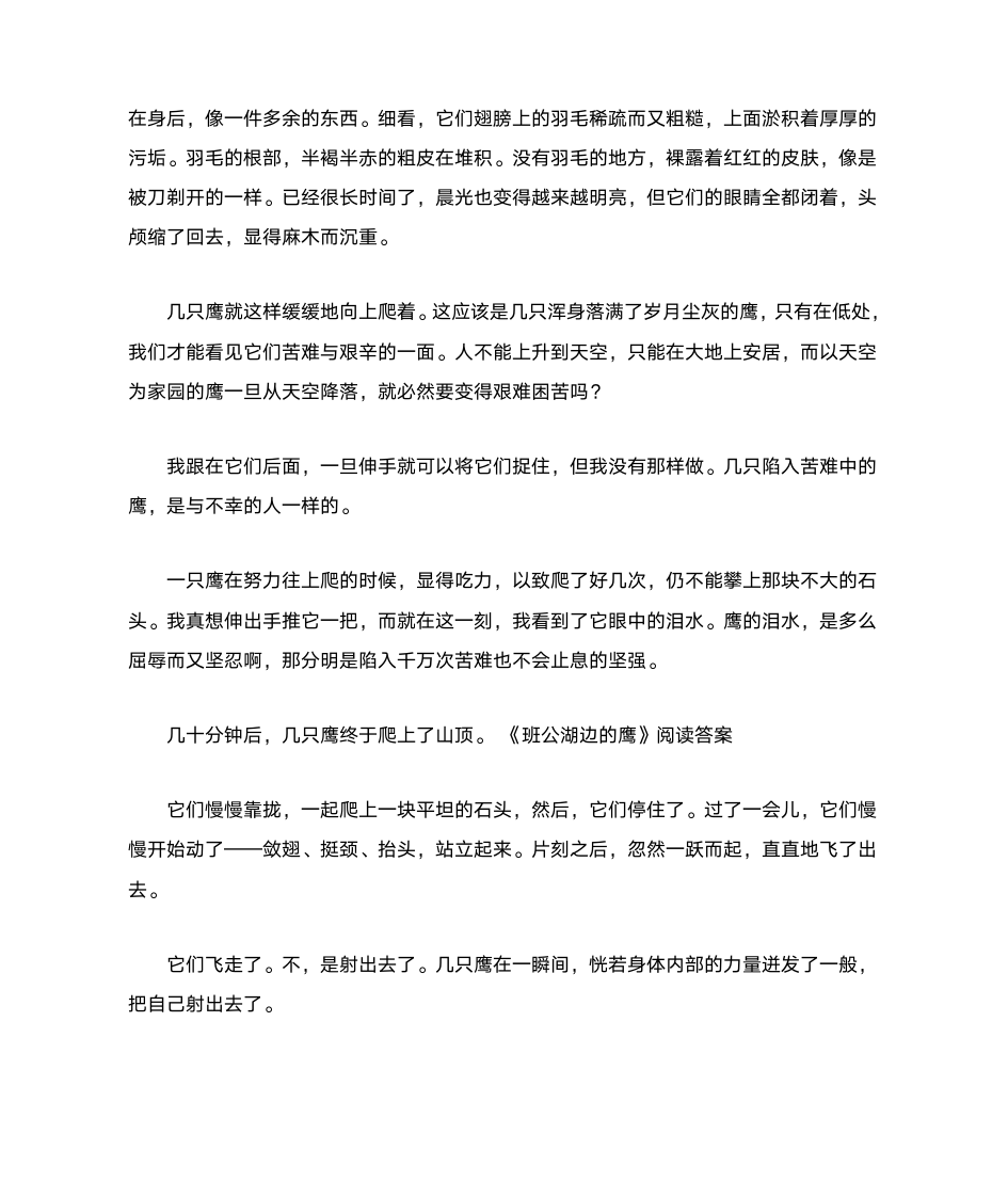 班公湖边的鹰阅读及答案第2页