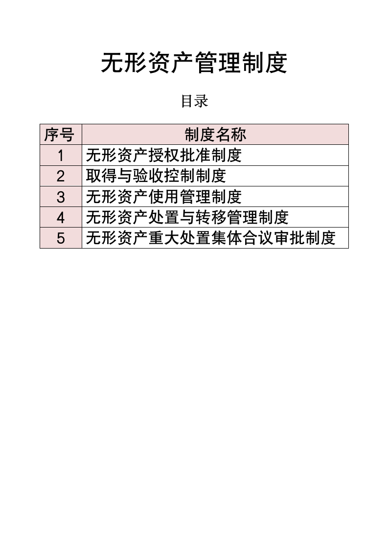 无形资产管理.doc第1页