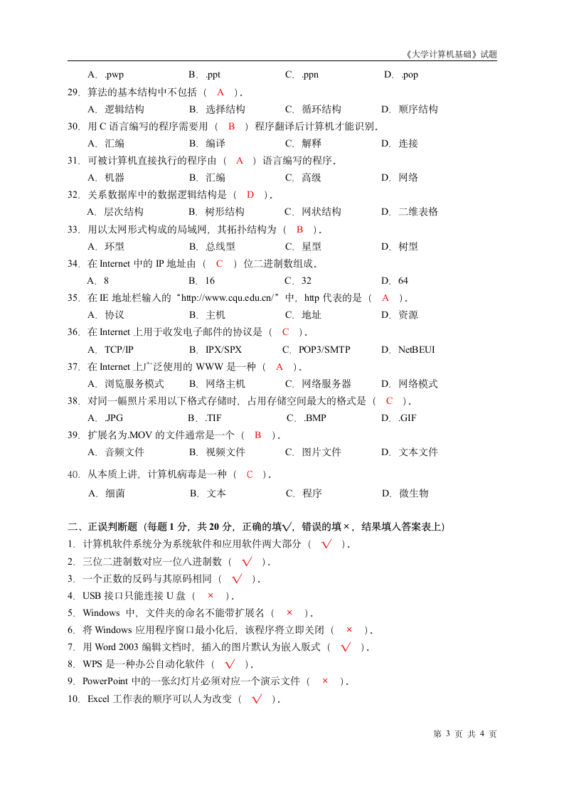 《大学计算机基础》试题第3页