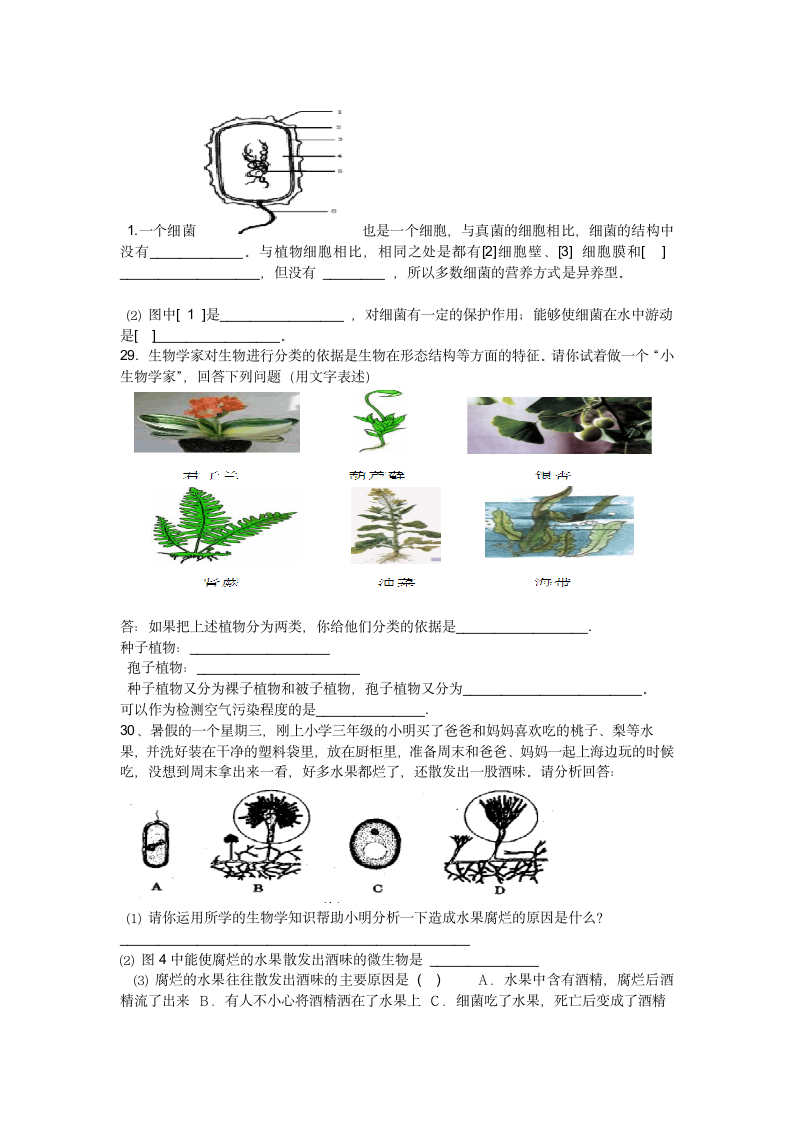 八年级生物上册期末试卷第4页