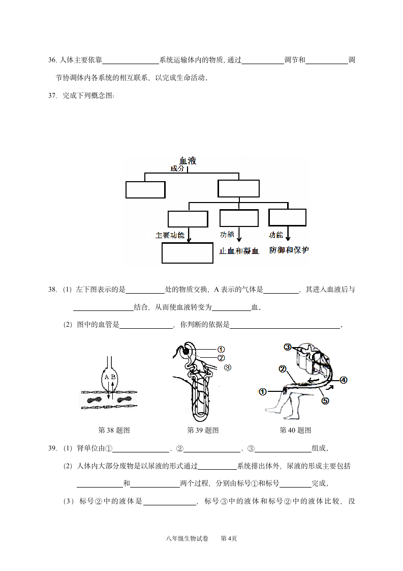 八年级上册生物期中试卷及答案第4页