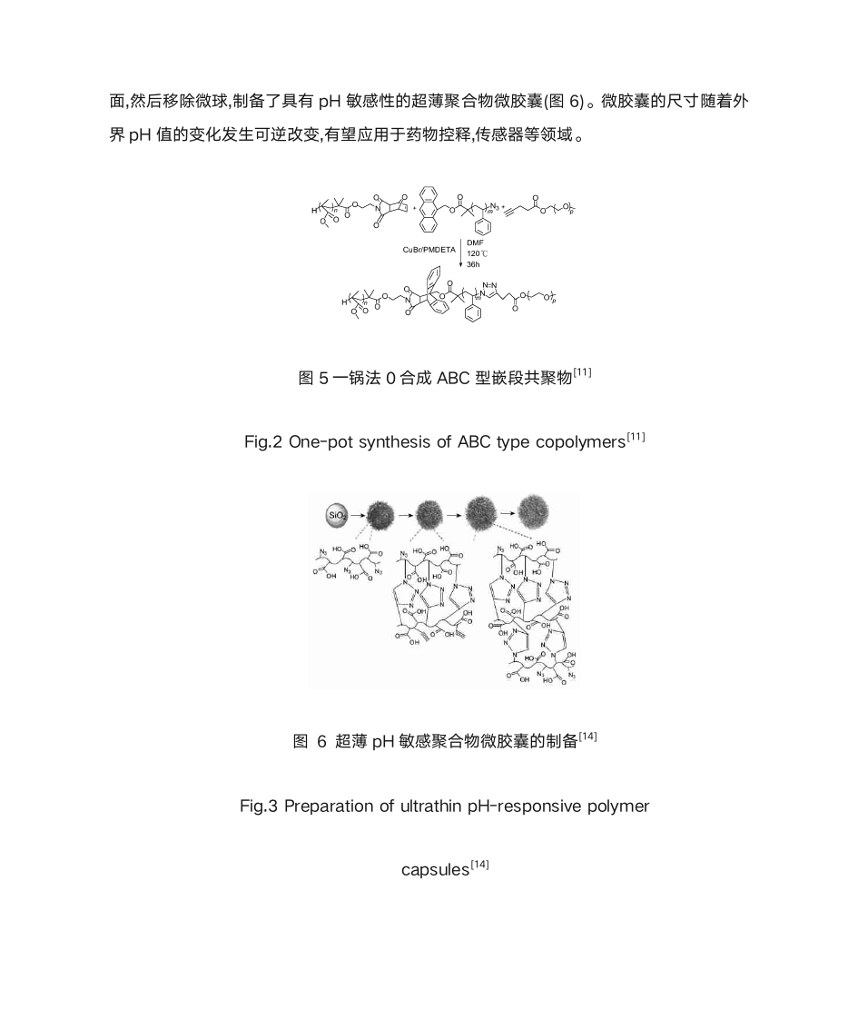 点击化学的应用第6页