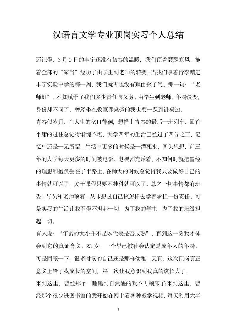 汉语言文学专业顶岗实习个人总结.docx第1页