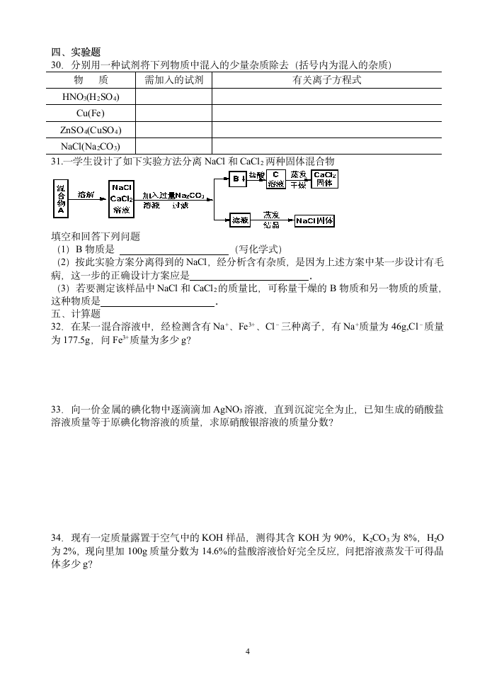 离子反应测验试卷[上学期].doc第4页