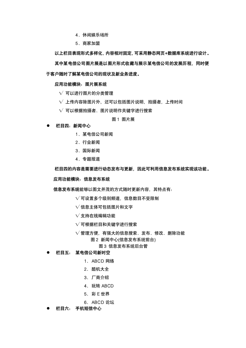 电信公司网站建设策划.docx第6页