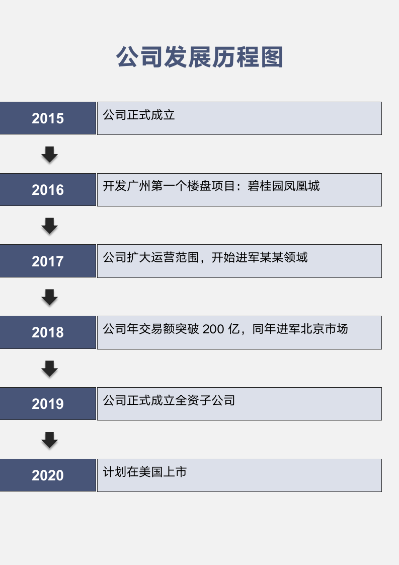 公司发展历程图.docx第1页