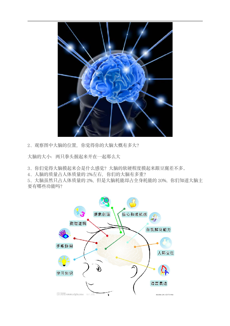 苏教版 五年级科学下册  5.1 大脑（教案）.doc第2页