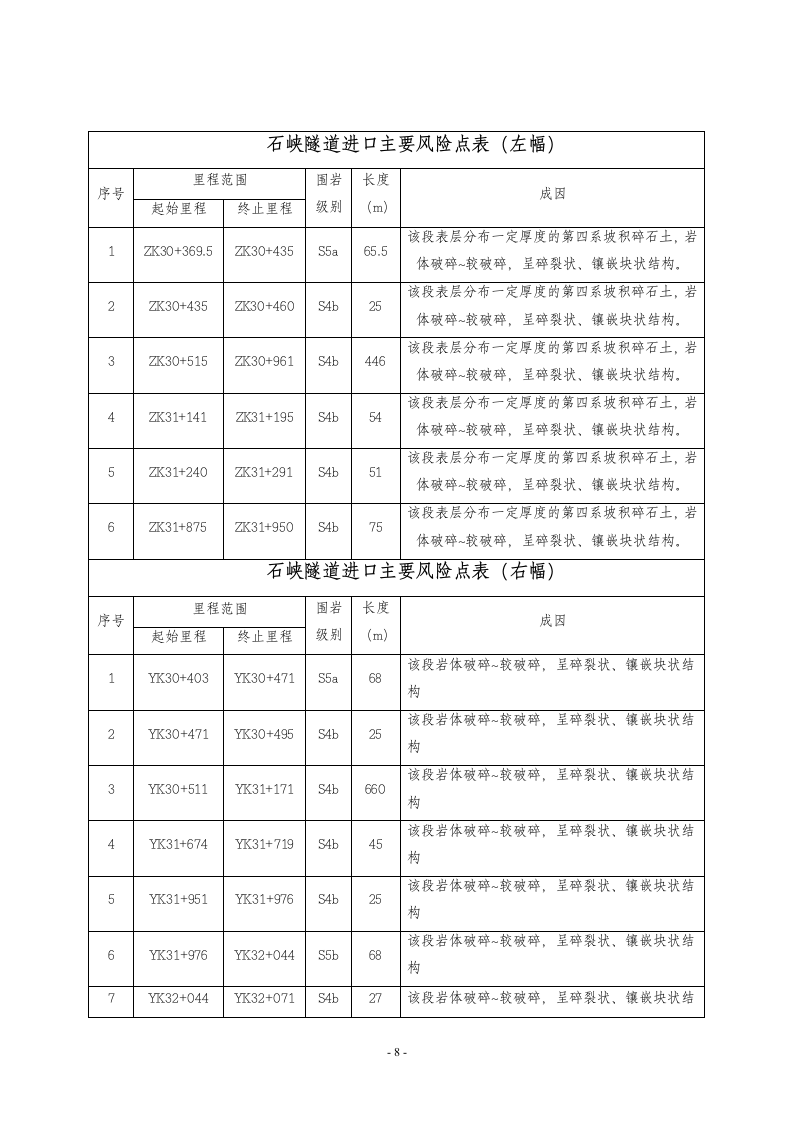 隧道风险评估报告.doc第9页