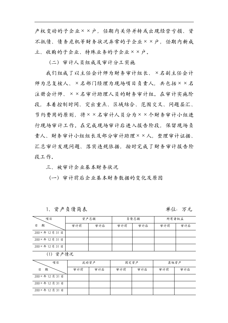 财务审计报告模板.docx第4页