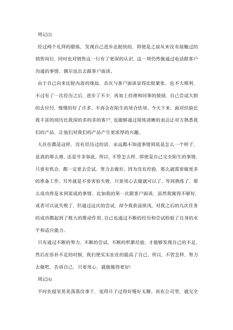 网络销售实习生实习周记.docx第3页