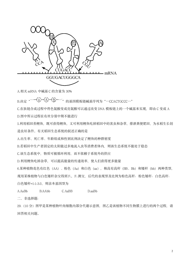 衡水中学高考生物押题试卷.doc第2页