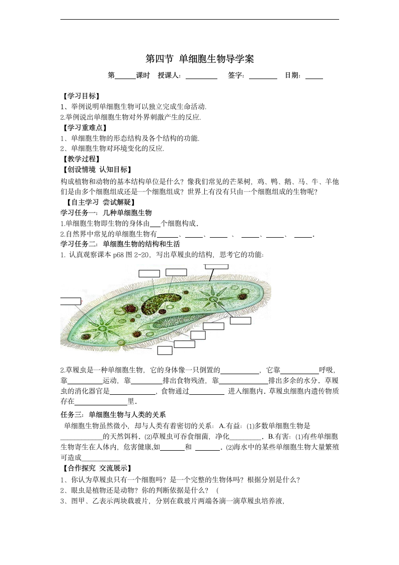 人教版七年级生物上册第二单元第二章第四节 单细胞生物导学案.doc第1页