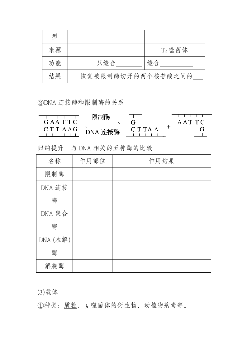 高三生物基因工程的操作工具.docx第2页