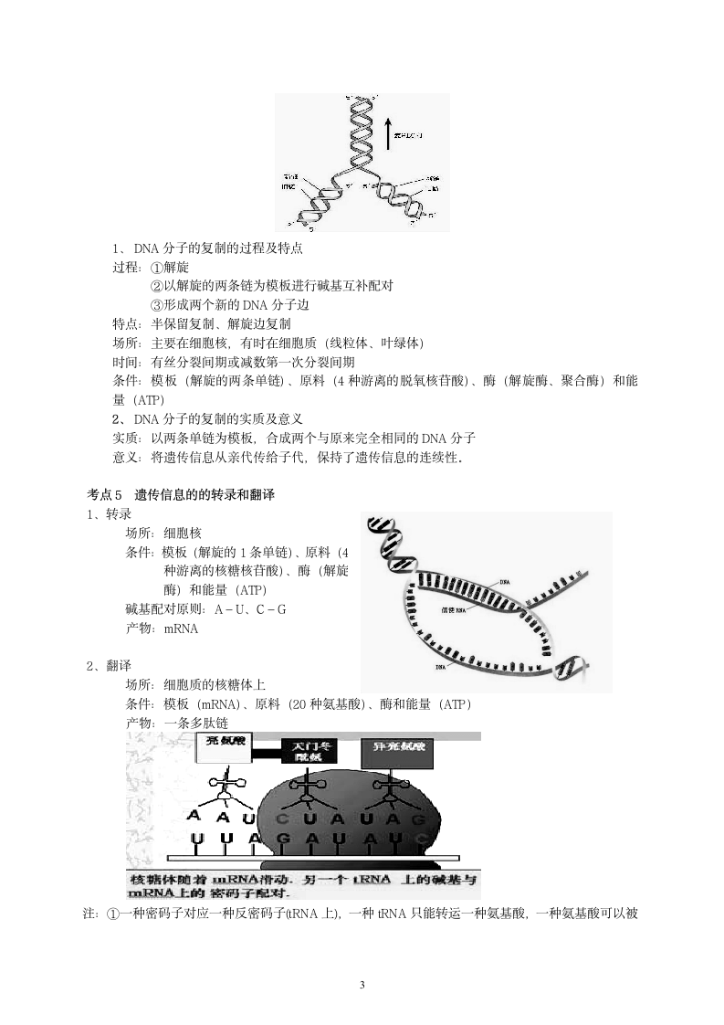 江苏生物小高考必修2(完整)第3页