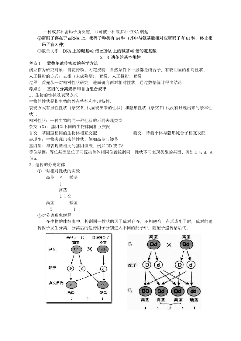 江苏生物小高考必修2(完整)第4页