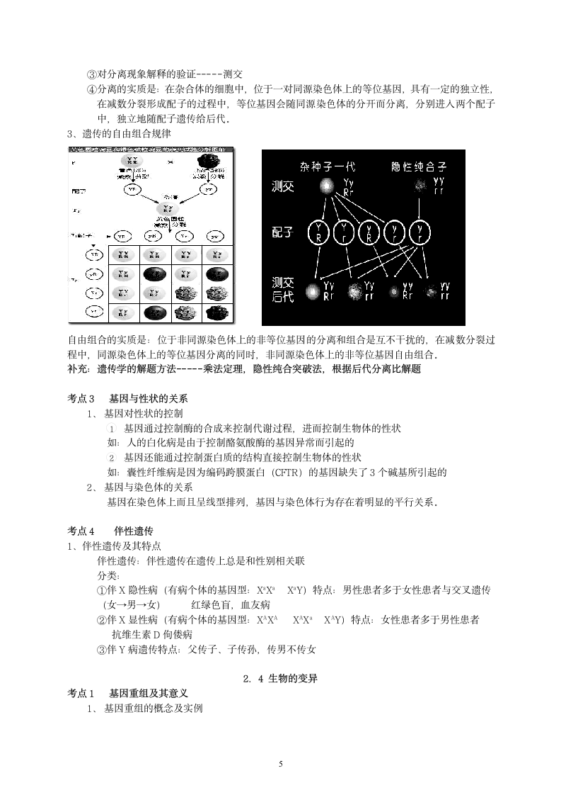 江苏生物小高考必修2(完整)第5页